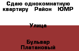 Сдаю однокомнатную квартиру › Район ­ ЮМР › Улица ­ Бульвар Платановый › Дом ­ 10 › Этажность дома ­ 12 › Цена ­ 15 000 - Краснодарский край, Краснодар г. Недвижимость » Квартиры аренда   . Краснодарский край,Краснодар г.